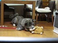 20141023_1933.jpg