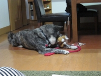 20141023_1935.jpg