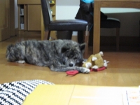 20141023_1940.jpg