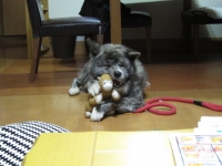 20141023_1941.jpg