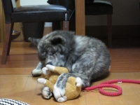 20141023_1945.jpg