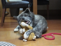20141023_1946.jpg