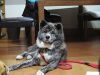 20141023_1953.jpg