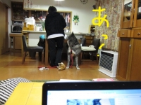 20141023_1954.jpg