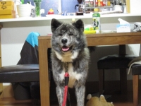 20141025_1967.jpg