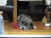 20141025_1968.jpg