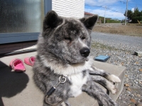 20141026_1979.jpg