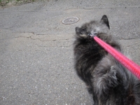 20141026_1987.jpg