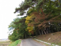 20141026_1988.jpg