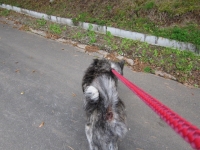 20141026_1989.jpg