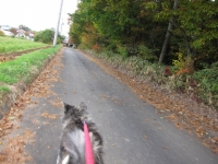 20141026_1993.jpg