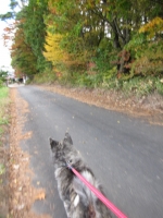 20141026_1995.jpg