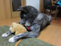 20141028_2017.jpg