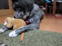 20141028_2018.jpg