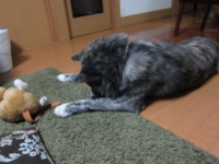 20141028_2019.jpg