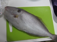 20141102_2033.jpg
