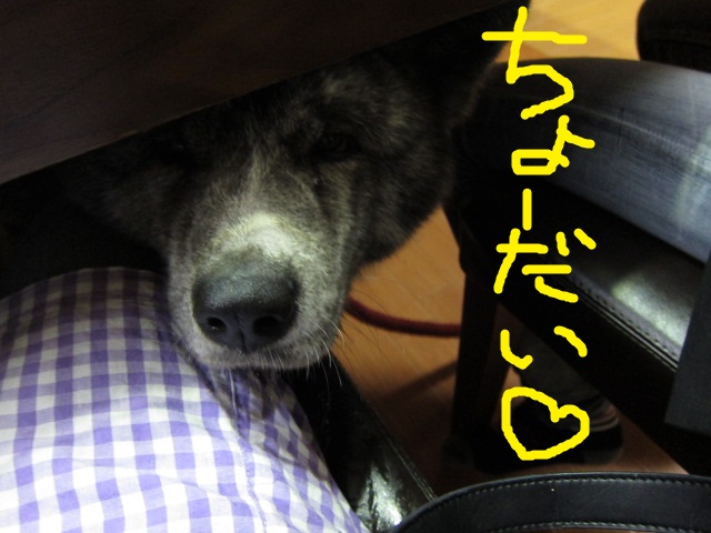 20141102_2037.jpg