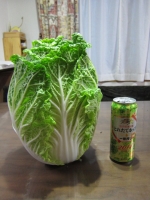 20141108_2103.jpg