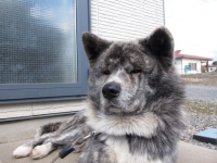 20141115_2143.jpg