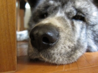 20141115_2165.jpg