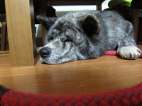 20141115_2166.jpg