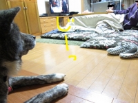20141115_2172.jpg