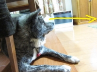 20141115_2173.jpg
