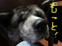 20141119_2202.jpg