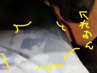 20141119_2203.jpg