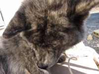 20141122_2207.jpg