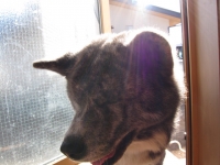 20141122_2210.jpg