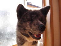 20141122_2211.jpg