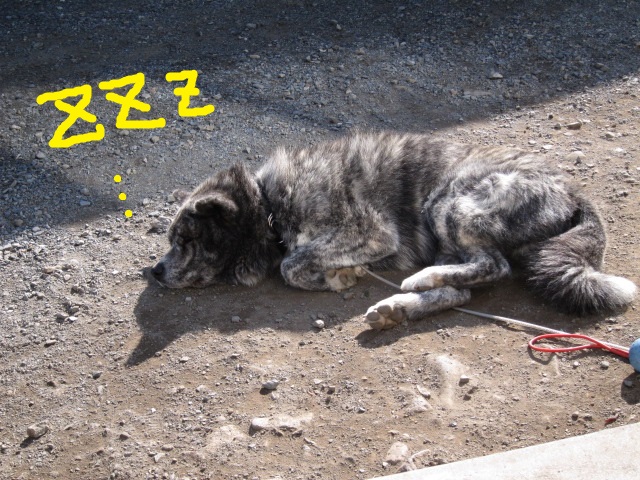 20141124_2237.jpg