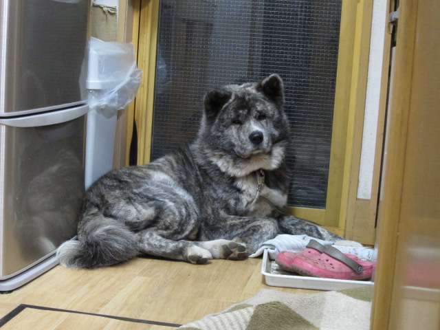 20141126_2243.jpg