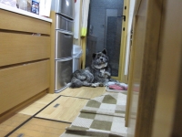 20141126_2245.jpg
