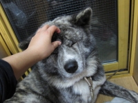20141126_2247.jpg