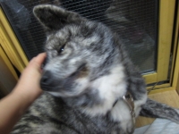 20141126_2248.jpg