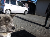 20141127_2254.jpg