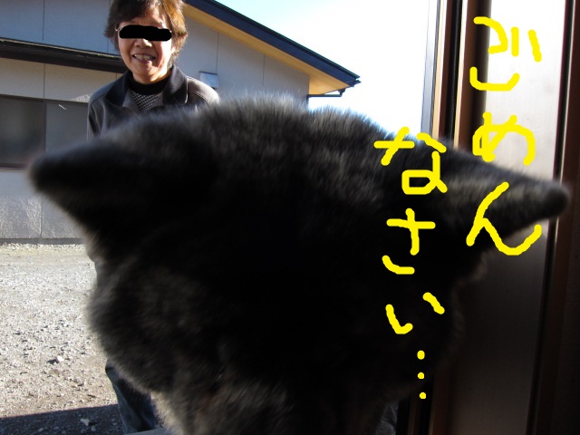 20141127_2258.jpg