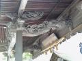 内々神社 1