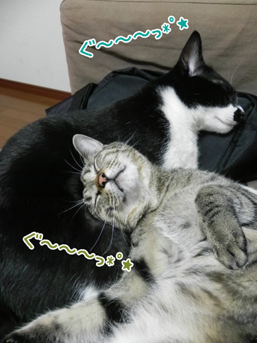 240705_7.jpg