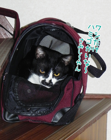 240807_2.jpg