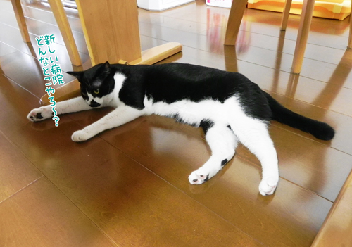240811_5.jpg