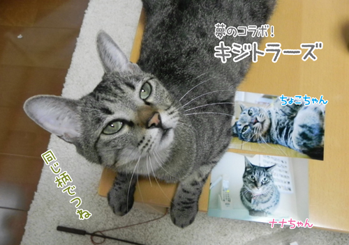 240901_13.jpg