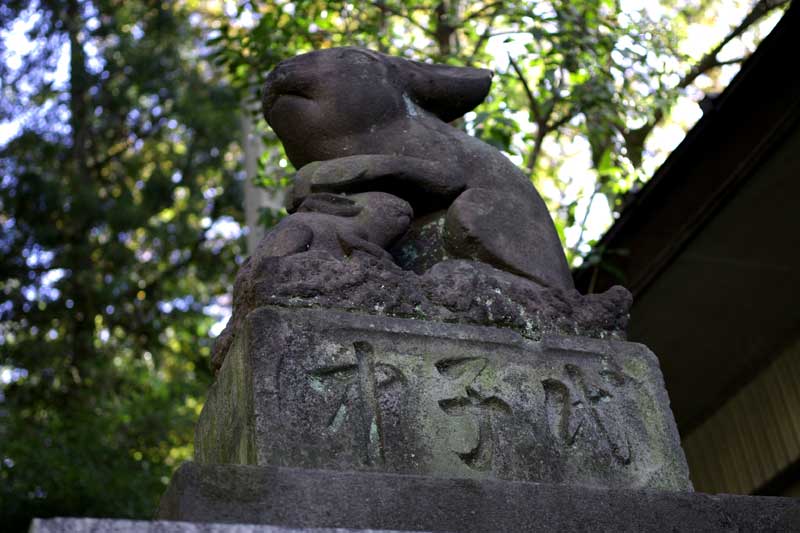 2012111108.jpg