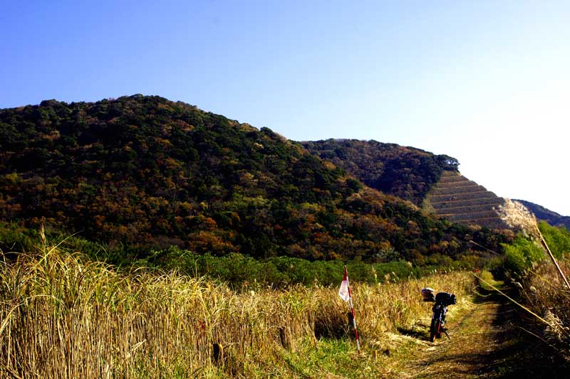 20121208_07.jpg