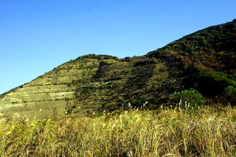 20121208_08.jpg