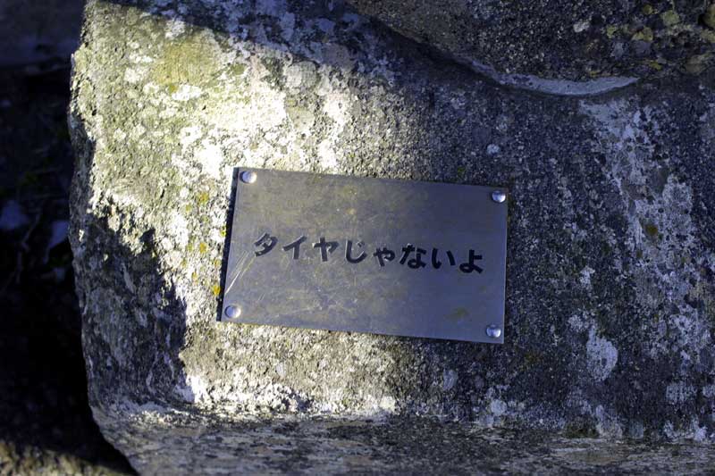 20121208_12.jpg