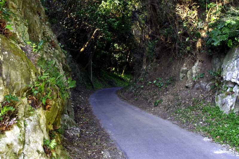 20121208_16.jpg