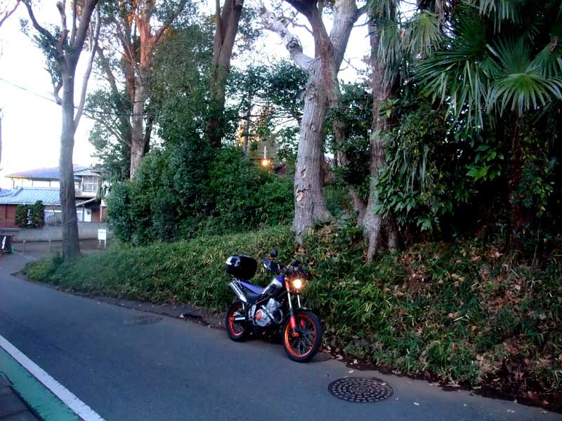 20121224_2.jpg